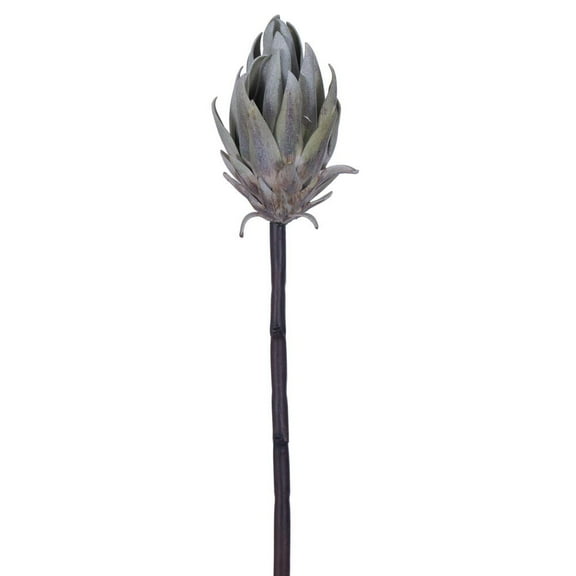 22" Gray/Green Protea Stem 2/Bag