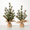 thumbnail image 1 of 22"H and 24"H Sullivans Pine Tree With Bells - Set of 2, Green, 1 of 3