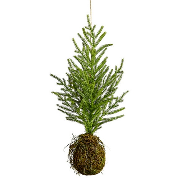 22''Hanging Pine Tree with Moss Root