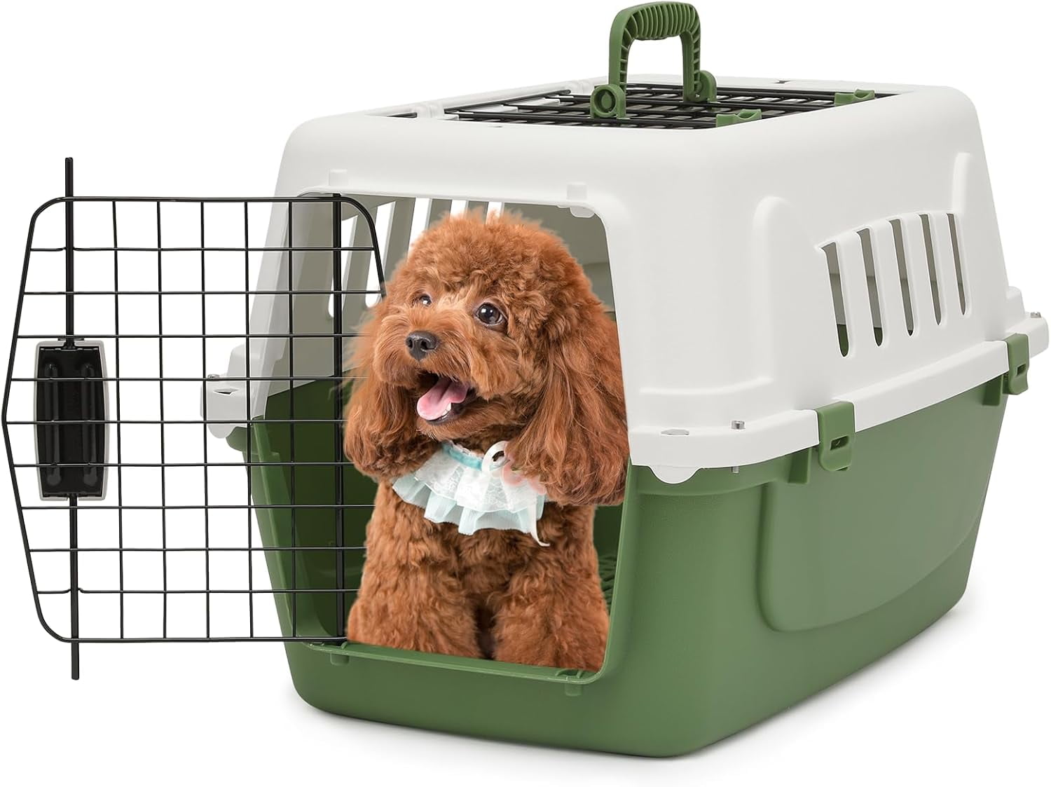 Illustration of Dog Crate Ventilation Options For Dog Health