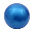 thumbnail image 1 of 22 Inch Exercise Ball, Non Slip Stability Yoga Ball with Air Pump for Home Gym Workouts Physical and Core Training, 1 of 8