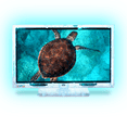 Continu.us 22Inch Flat Screen Neon LED TV ColorChanging, NonSmart