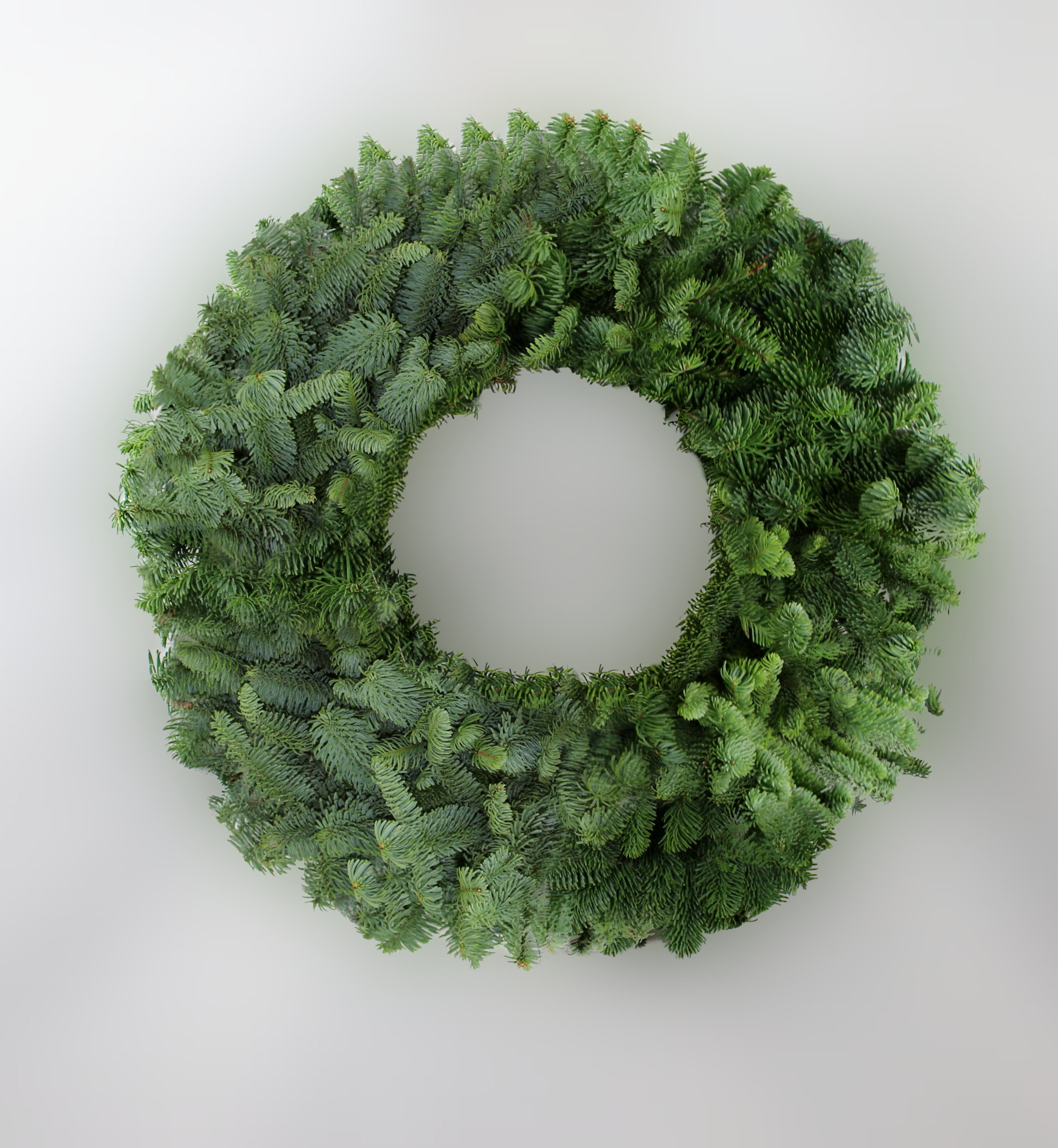 22" Noble Fir Wreath