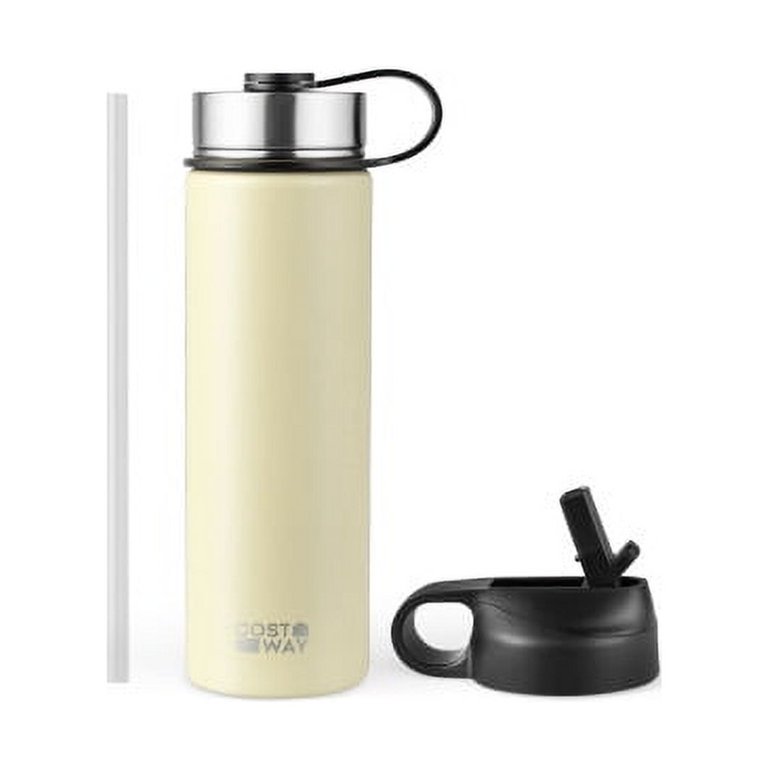 22 oz Double Wall Insulated Water Bottle Stainless Steel w/ 2 Lids & Straw  Beige