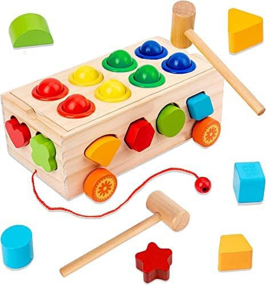 22 Pcs Wooden Shape Sorter Toy for Toddlers Pound A Ball Toy with 12