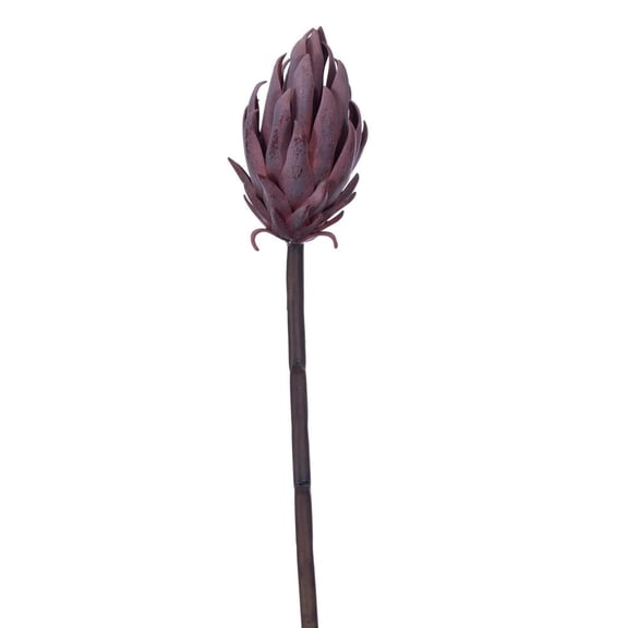 22" Red/Purple Protea Stem 2/Bag