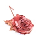thumbnail image 1 of 22" Rose Spray Flower, 1 of 1