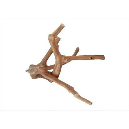 22 X 1.6 In. Medium Multi-Branch