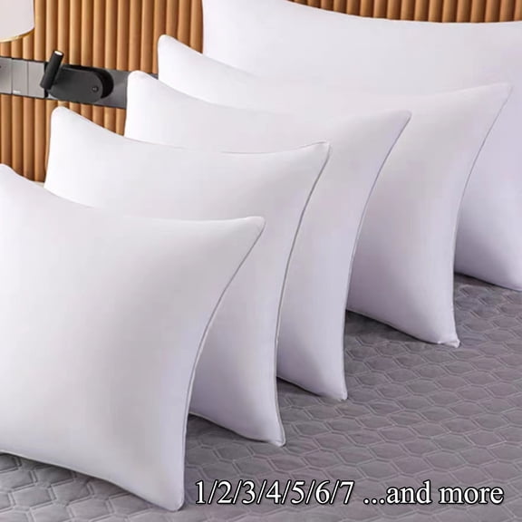22 X 22 Throw Pillow Inserts - Fluffy Polyester Down Alternative Lightweight Bed and Couch Pillows - 22 Inch Square, Sofa Decorative Pillow Inserts