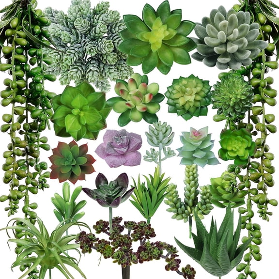 22 count Bulk Artificial   Unpotted Small Aloe  String of  Cactus Green   for Succulent Garden Arrangement Centerpiece Wall Indoor Outdoor  Decor