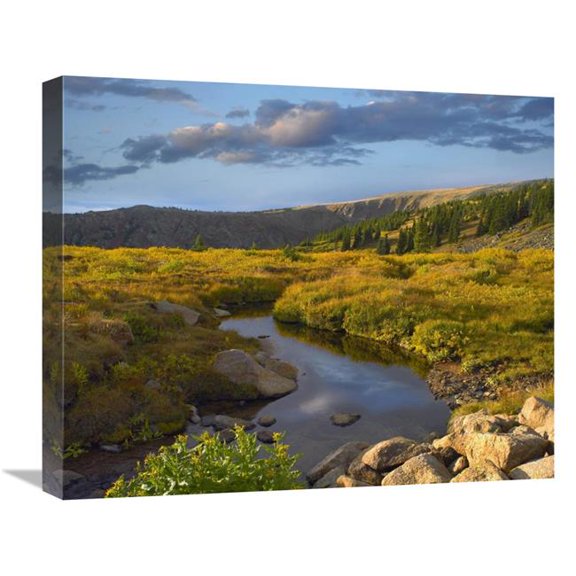 22 in. Alpine Stream, Rollins Pass Near Winter Park, Colorado Art Print - Tim Fitzharris