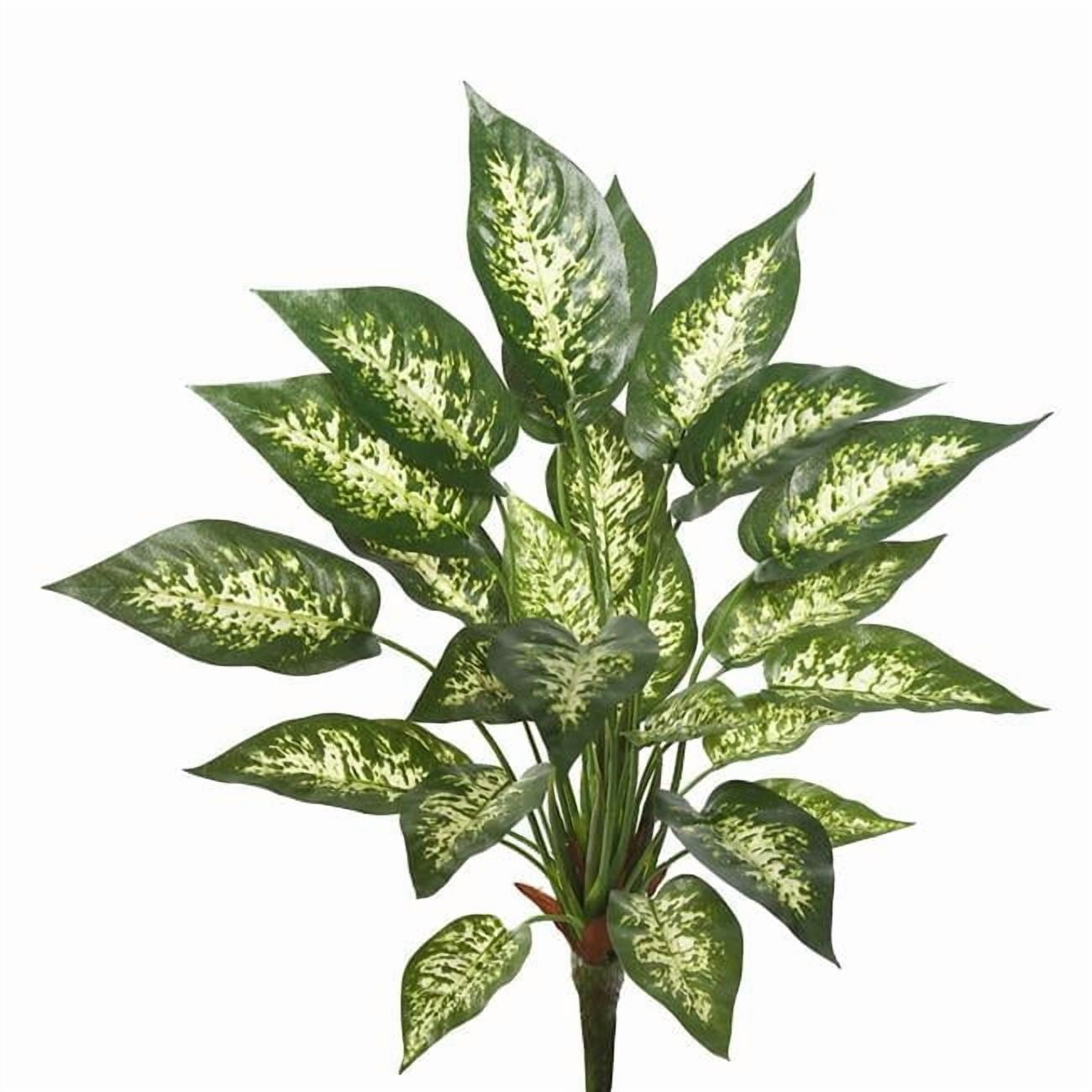 22 in. Artificial Green & White Dieffenbachia Exotica Bush