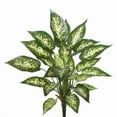 thumbnail image 1 of 22 in. Artificial Green & White Dieffenbachia Exotica Bush, 1 of 1