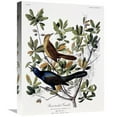 thumbnail image 1 of 22 in. Boat Tailed Grackle - Male & Female Art Print - John James Audubon, 1 of 1