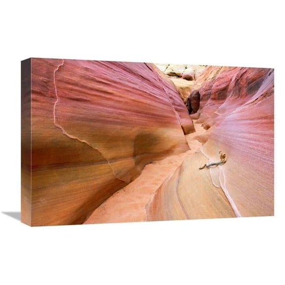 22 in. Fracture Art Print - Vic Schendel