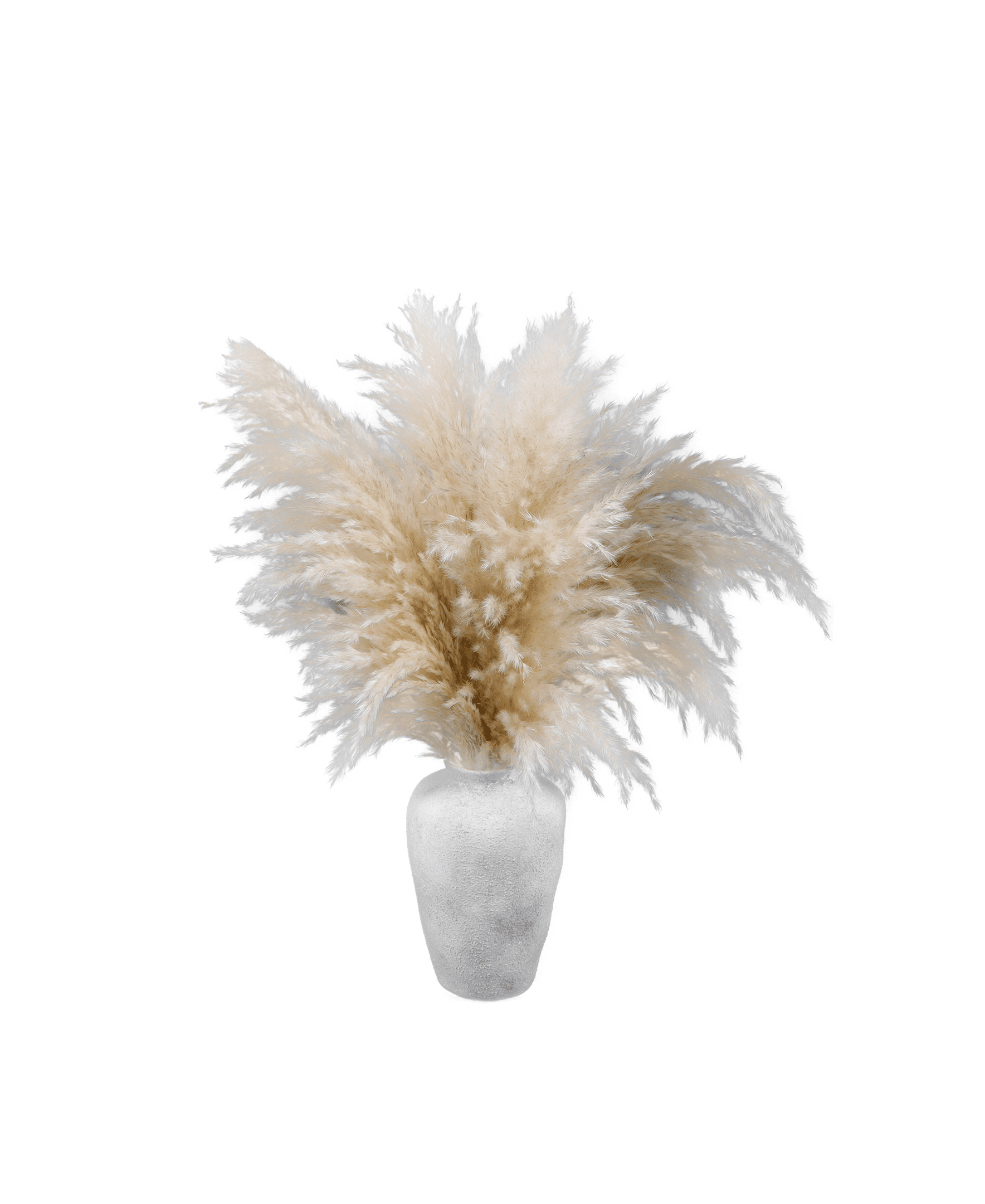 Home Decor Collection 22-Inch Pampas Grass Arrangement in Natural Ceramic Vase Perfect for Tabletops, Shelves, or Entryways in Modern or Boho-Style Spaces, 2 lbs