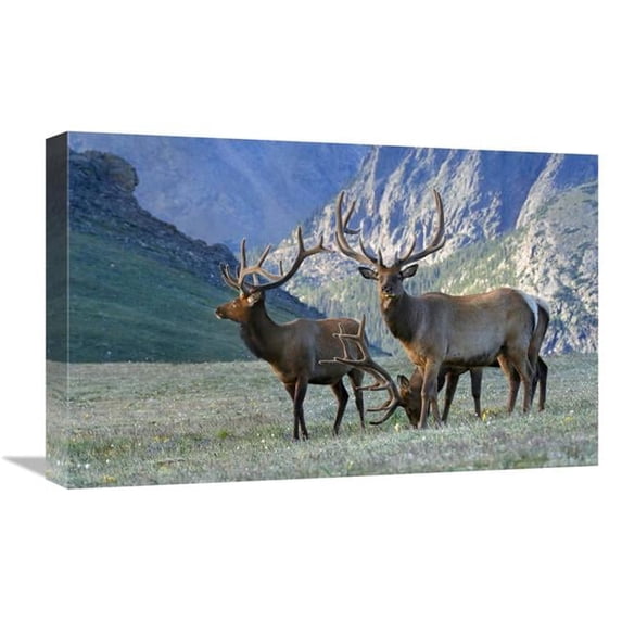 22 in. In the Mountains Art Print - Vic Schendel