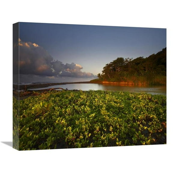 22 in. Lagoon Near Coastline, Corcovado National Park, Costa Rica Art Print - Tim Fitzharris