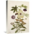 thumbnail image 1 of 22 in. Milkweed, Poppy & Hibiscus Art Print - Thomas Robins Jr., 1 of 1