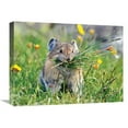 thumbnail image 1 of 22 in. Pika Art Print - Vic Schendel, 1 of 1