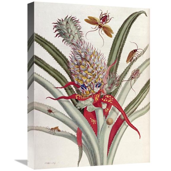 22 in. Pineapple Ananas with Surinam Insects Art Print - J Mulder