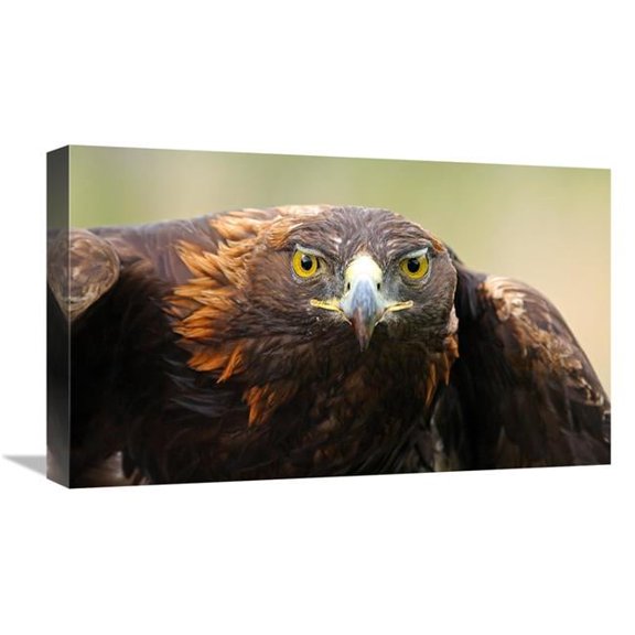 22 in. Ready for Flight Art Print - Vic Schendel