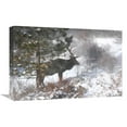 thumbnail image 1 of 22 in. Shelter From the Storm Art Print - Vic Schendel, 1 of 1
