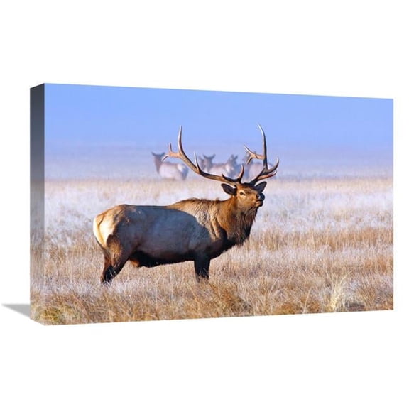 22 in. The Family Group Art Print - Vic Schendel