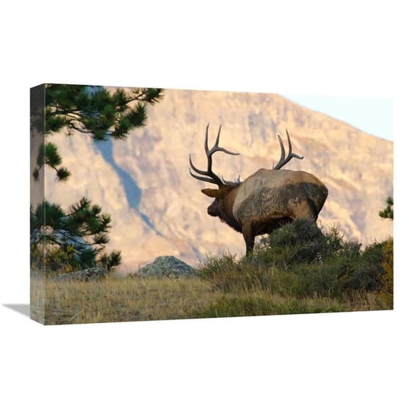 22 in. Towards the Sunset Art Print - Vic Schendel