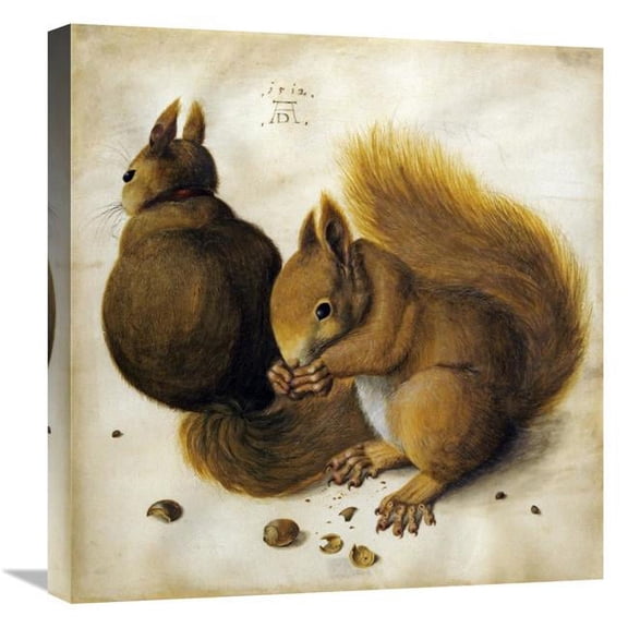 22 in. Two Squirrels, One Eating a Hazelnut Art Print - Albrecht Durer
