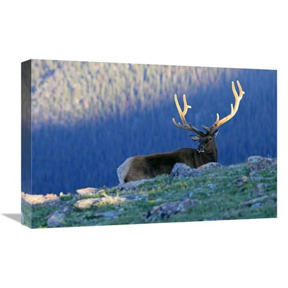 22 in. Velvet Sunrise Art Print - Vic Schendel