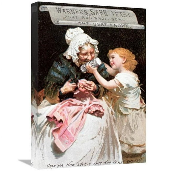 22 in. Warners Safe Yeast-Pure & Wholesome Art Print - Unknown