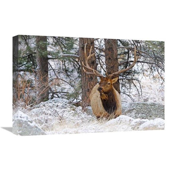 22 in. Winter Morning Art Print - Vic Schendel