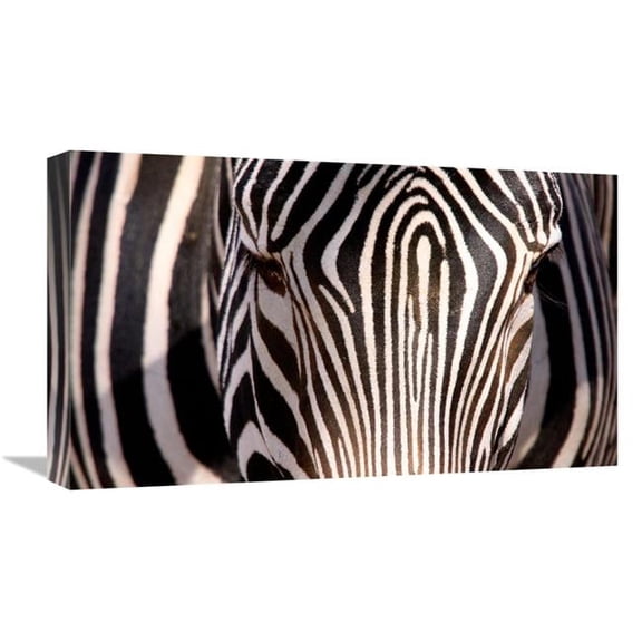 22 in. Zebra Head Art Print - Vic Schendel