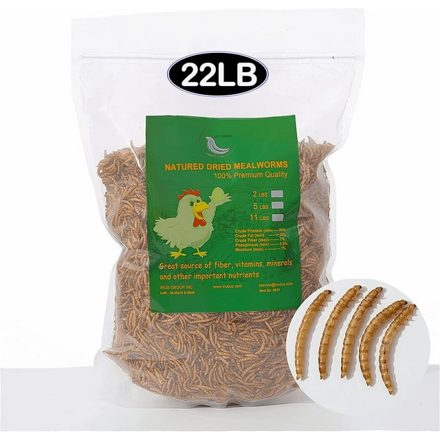 22 lbs NonGMO Dried Mealworms for Wild Bird Chicken Fish,HighProtein
