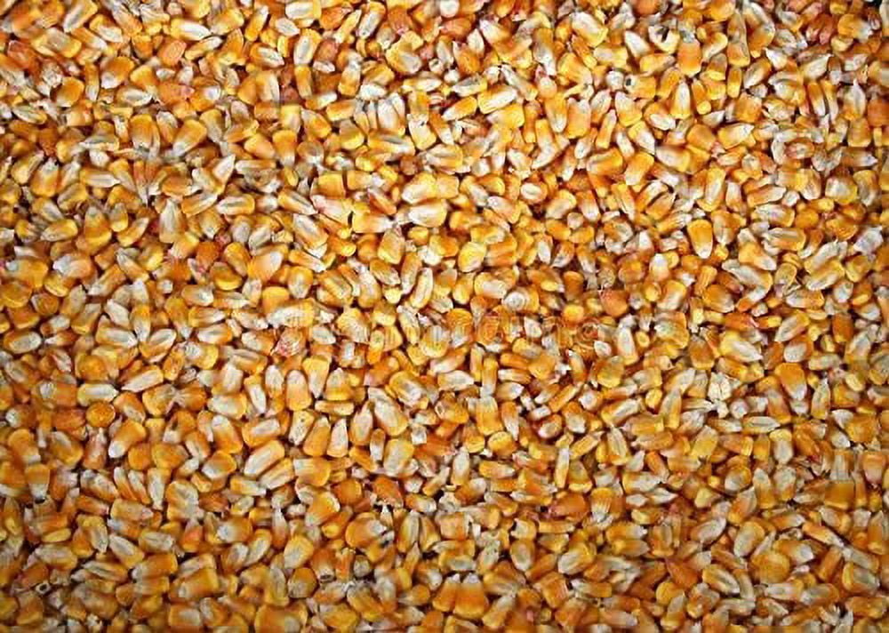 22 pounds Yellow Whole Kernel Corn - Grown, and Shipped from Iowa. Squirrel, Duck, and Deer Love it! Make Tortillas or Corn Meal