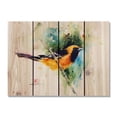 thumbnail image 1 of 22 x 16 in. Crousers the Oriole Inside & Outside wood Wall Art, 1 of 1