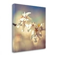 thumbnail image 1 of 22 x 22 Soft Bloom I by Assaf Frank- Wall Art Print on Canvas Fabric Multi-Color, 1 of 2