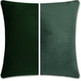 thumbnail image 1 of 22" x 22" Throw Pillow - Ramona Green: 2 PCS / 4 Sided. Luxurious Premium Down Feather Fill w/ Reversible Cover Microsuede/Microplush Fabric. Forever Fluffy, Beautiful & Supportive. Soft & Comfy., 1 of 9