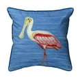 thumbnail image 1 of 22 x 22 in. Dicks Spoonbill Extra Large Zippered Pillow, 1 of 1