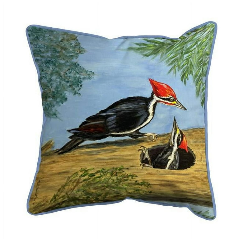 https://i5.walmartimages.com/seo/22-x-22-in-Pileated-Woodpeckers-Extra-Zippered-Pillows-Indoor-Outdoor-Pillow-Large_0c2e36f5-6d0b-45f6-8b06-bdf5afd01c6e.f28ae36b445b401b37bb47cdf2929cf3.jpeg?odnHeight=768&odnWidth=768&odnBg=FFFFFF