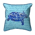 thumbnail image 1 of 22 x 22 in. Sea Turtle Blue Script Extra Large Zippered Pillow, 1 of 1