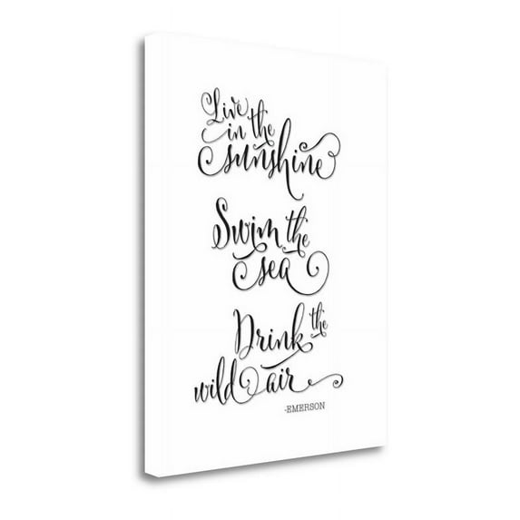 22" x 28" Emerson Live By Tara Moss- Wall Art Print on Canvas Fabric Multi-Color