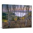 thumbnail image 1 of 22 x 28 in. Aspen Forest Overlooking Fremont Lake, Bridger-Teton National Forest, Wyoming Art Print - Tim Fitzharris, 1 of 1