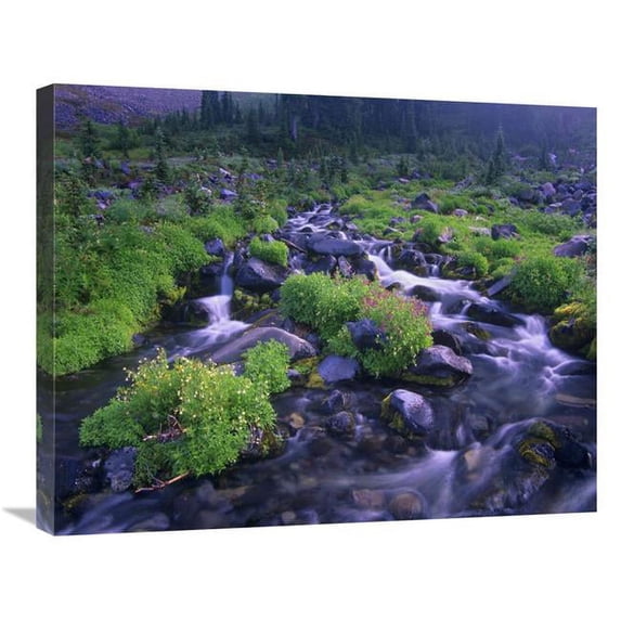 22 x 28 in. Paradise River with Wildflowers, Mount Rainier National Park, Washington Art Print - Tim Fitzharris
