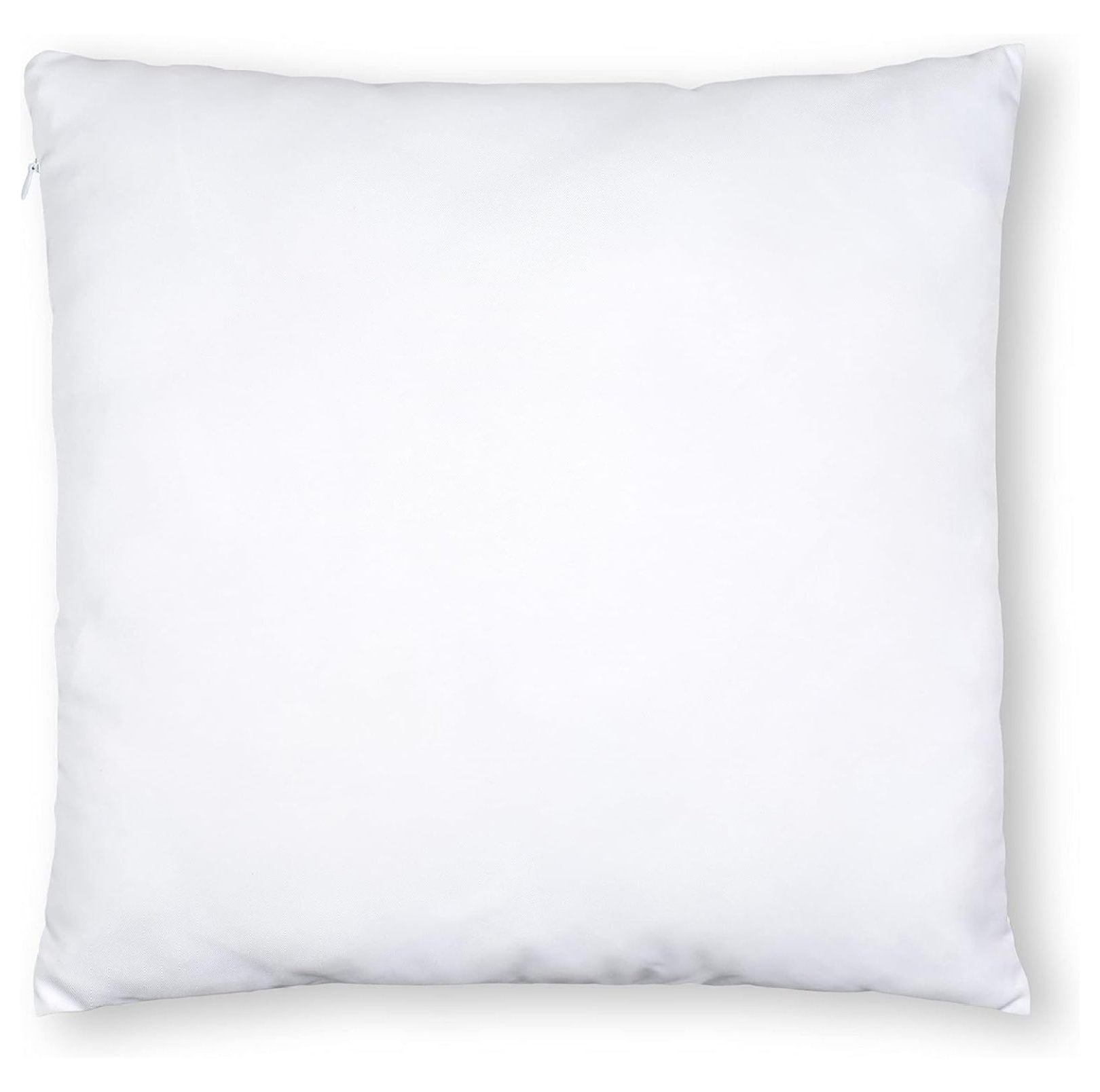 22" x 22" White Down Feather Pillow Insert