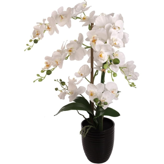 22"x18" White Phalaenopsis Orchid Stem with 5-Inch Ribbed Bloom – Artificial Flower for Home, Office & Event Décor