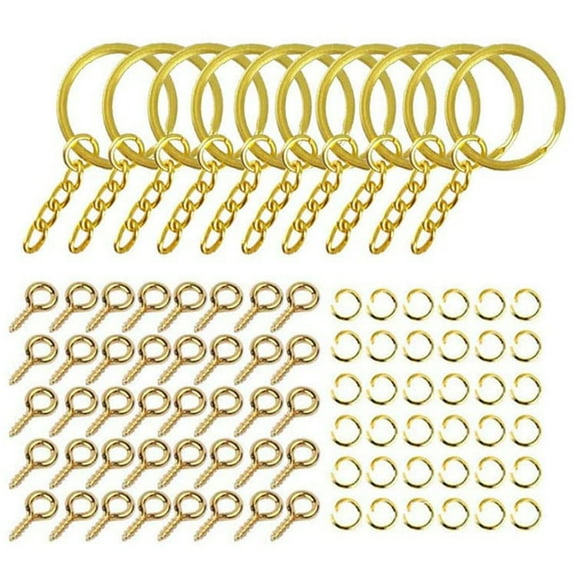 220 Pieces for Key Chain Rings Kit Keychain Rings with Jump Rings and Screw Eye