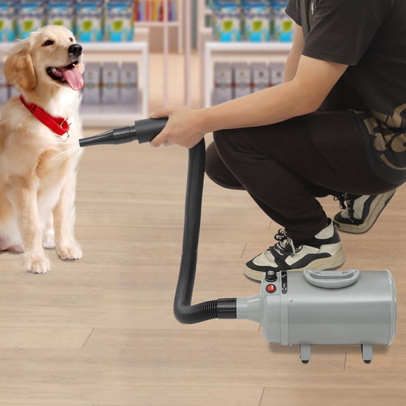 2200W Pet Dog Hair Dryer Adjustable Speed Dog Grooming Blow Dryer with 4 Nozzles