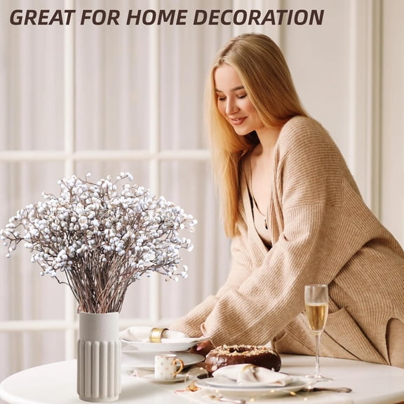 220g Tallow Berries Dried Christmas Decor- 17" Natural Stem Wedding Floral Decor, White Holly Tallow Berries, 2 Bundles Dried Flower Billy Balls, Button Plant, Willow Branches, Wreath DIY Handicraft